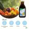 Kalsiyum + D3 tonik Saluslu Kindervital, 250 ml