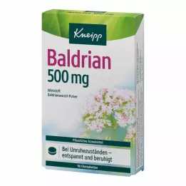 KNEIPP Valerian 500 mg film kaplı tablet, 90 adet