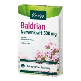 Kneipp Valerian Nerve Power 500 mg film kaplı tablet, 30 adet