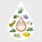 Amara seyreltme damlaları, 20 ml