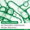 Bioticloges subtilis kapsülleri, 15 adet