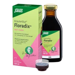 Demir oral sıvılı Floradix, 250 ml